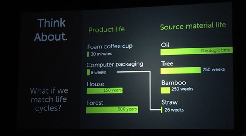 4 active areas of sustainable packaging