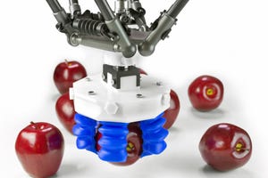 Soft-touch robot picks variable, soft products