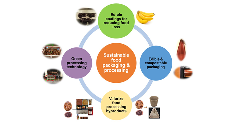 Bioactive paper coatings to replace plastic for packaging foods