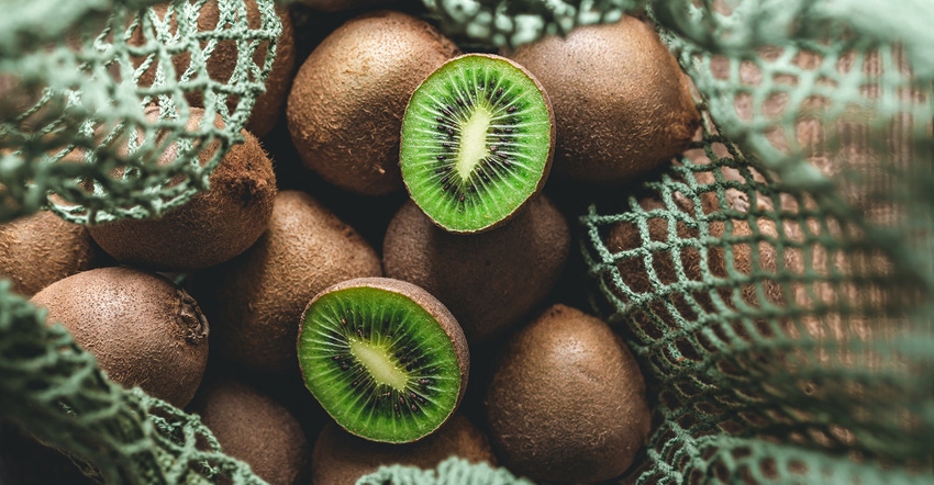 Organic Kiwi Fruit Powder Supplier