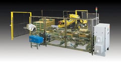 Case packer/palletizer