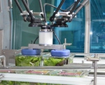Produce farm makes its case for robotic packing
