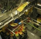 Vertical form-fill-seal machines pack multiple bagging options for frozen food processor