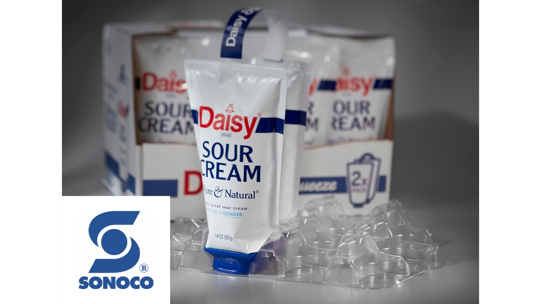 Daisy2.jpg?width=1280&auto=