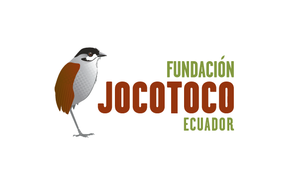 LOGO JOCOTOCO.png