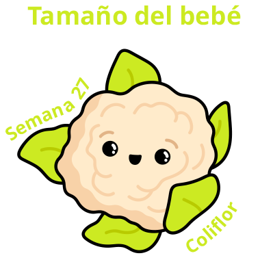 Tamaño del bebé Semana 27