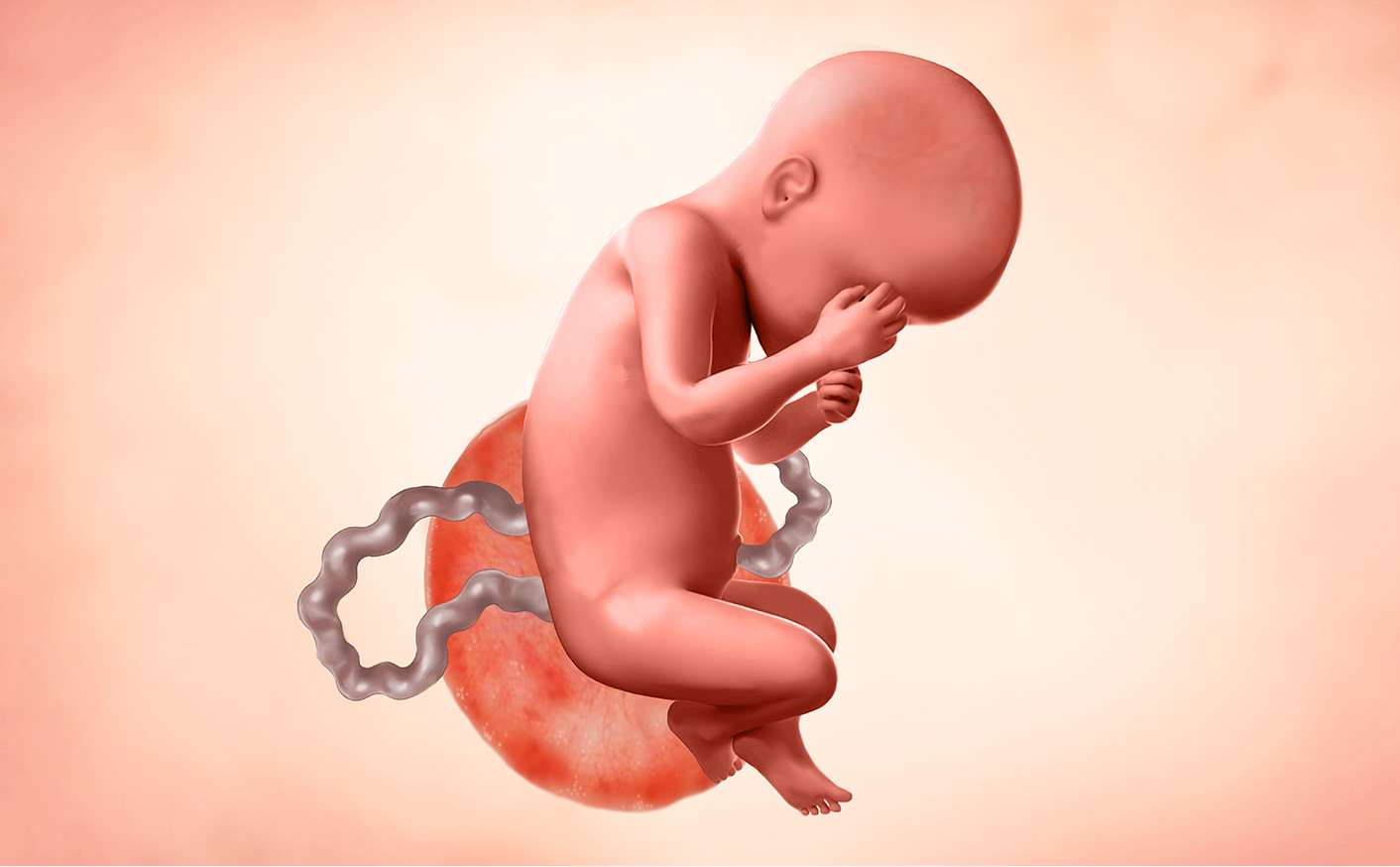 30 Weeks Pregnant Fetus