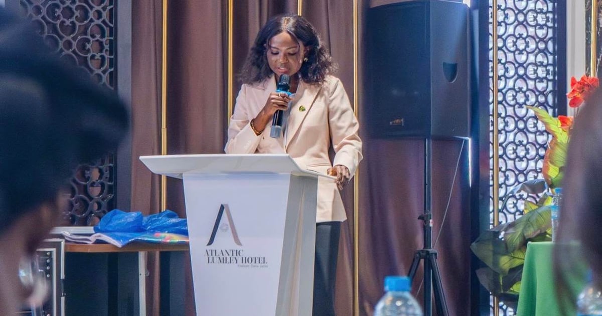 Sierra Leone invests 0M in telecom, 60% usage gap remains