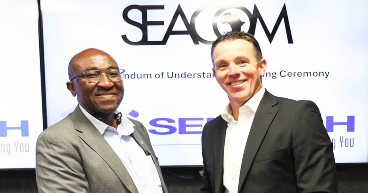 Seacom, Sentech to help SMMEs in SA's digital economy