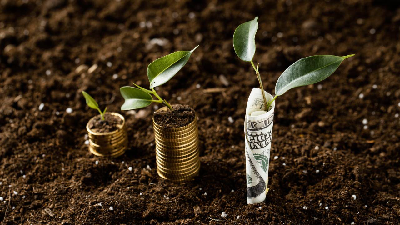 High angle of plants with coins stacked on earth and banknotes