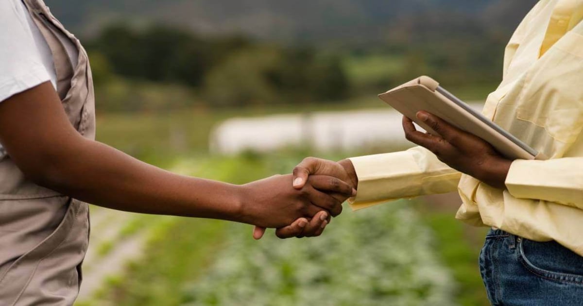 Hot startup of the month: Kenya's Ketha Africa