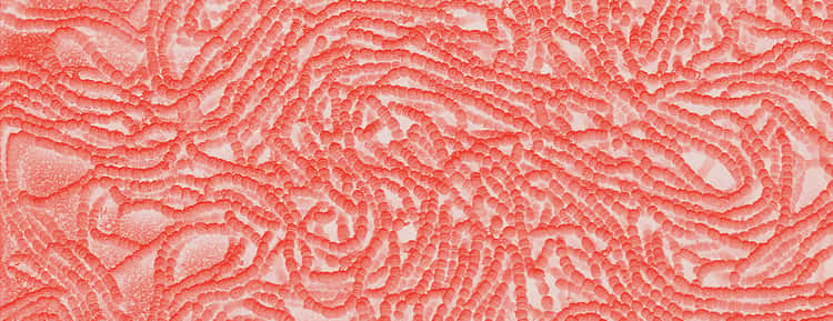 Oncology V1 - banner Oncology V1 - banner