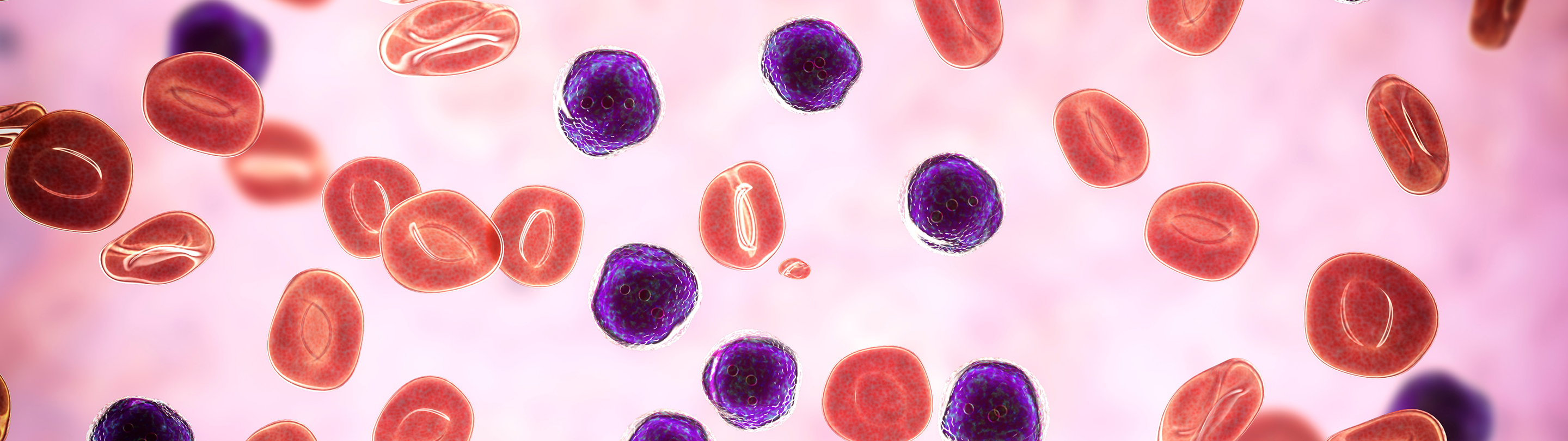 Medical Education in Hematological Malignancies