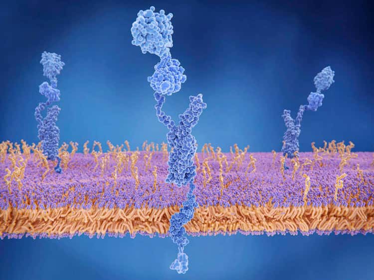 Therapeutic area - Haematology - Hero image Amyloidosis Therapeutic area - Haematology - Hero image Amyloidosis