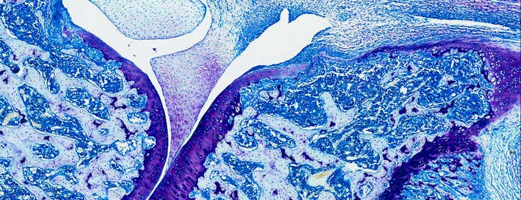 Lifelong Learning in Immunology