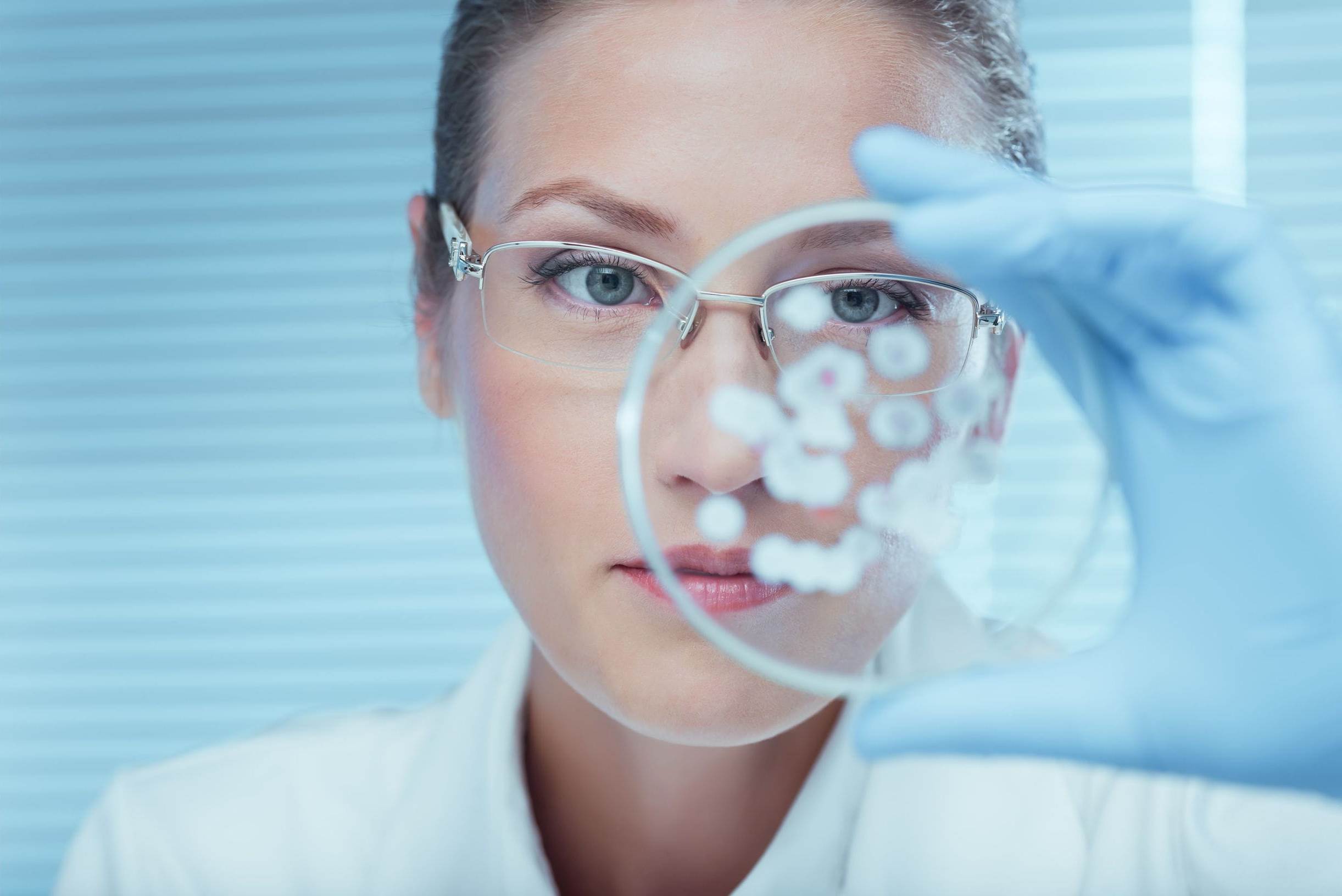 Diferencias entre virus y bacterias