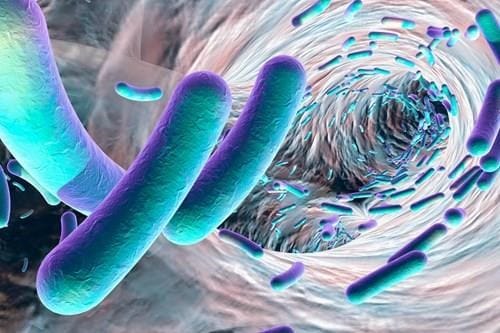 Perché gli antibiotici non sono attivi sui virus?