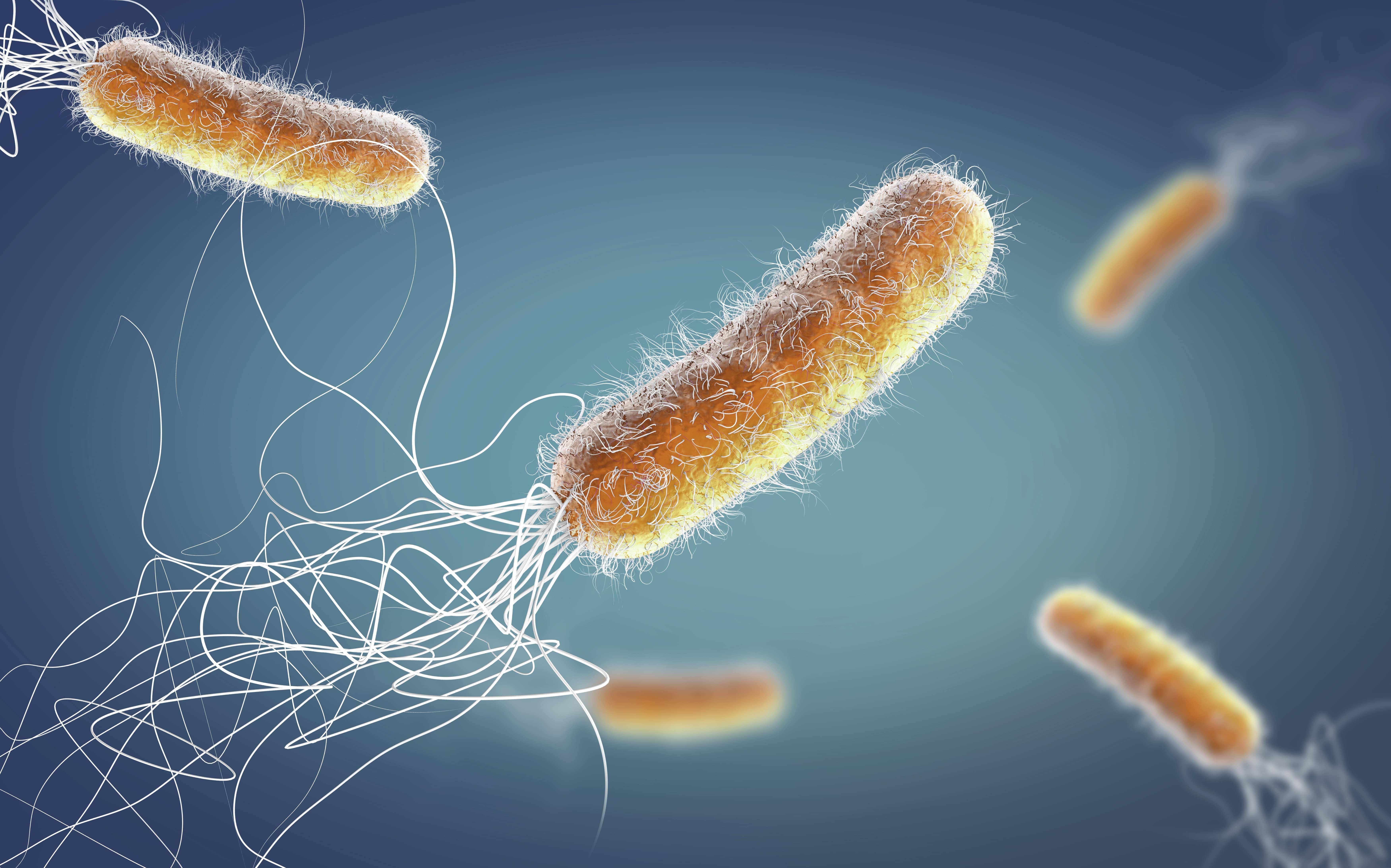 6-13-bacteria-viruses-body1.jpg