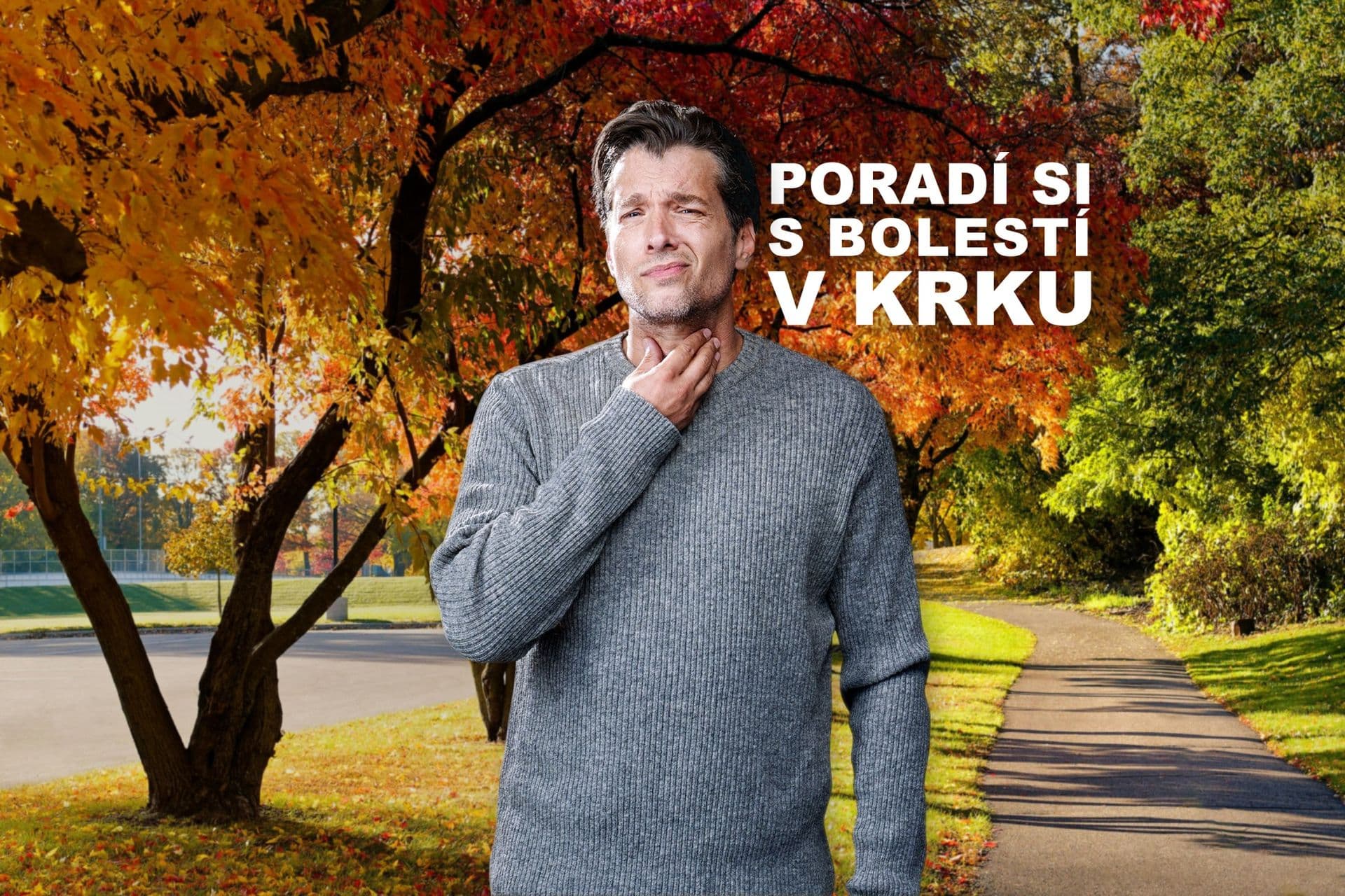 Hlavní obrázek Alt Text