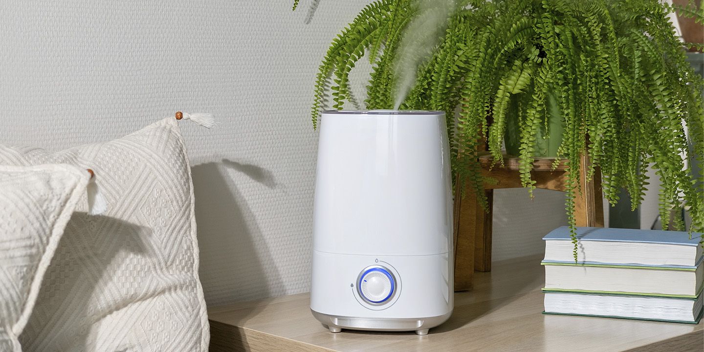 Humidificador con planta verde de fondo.