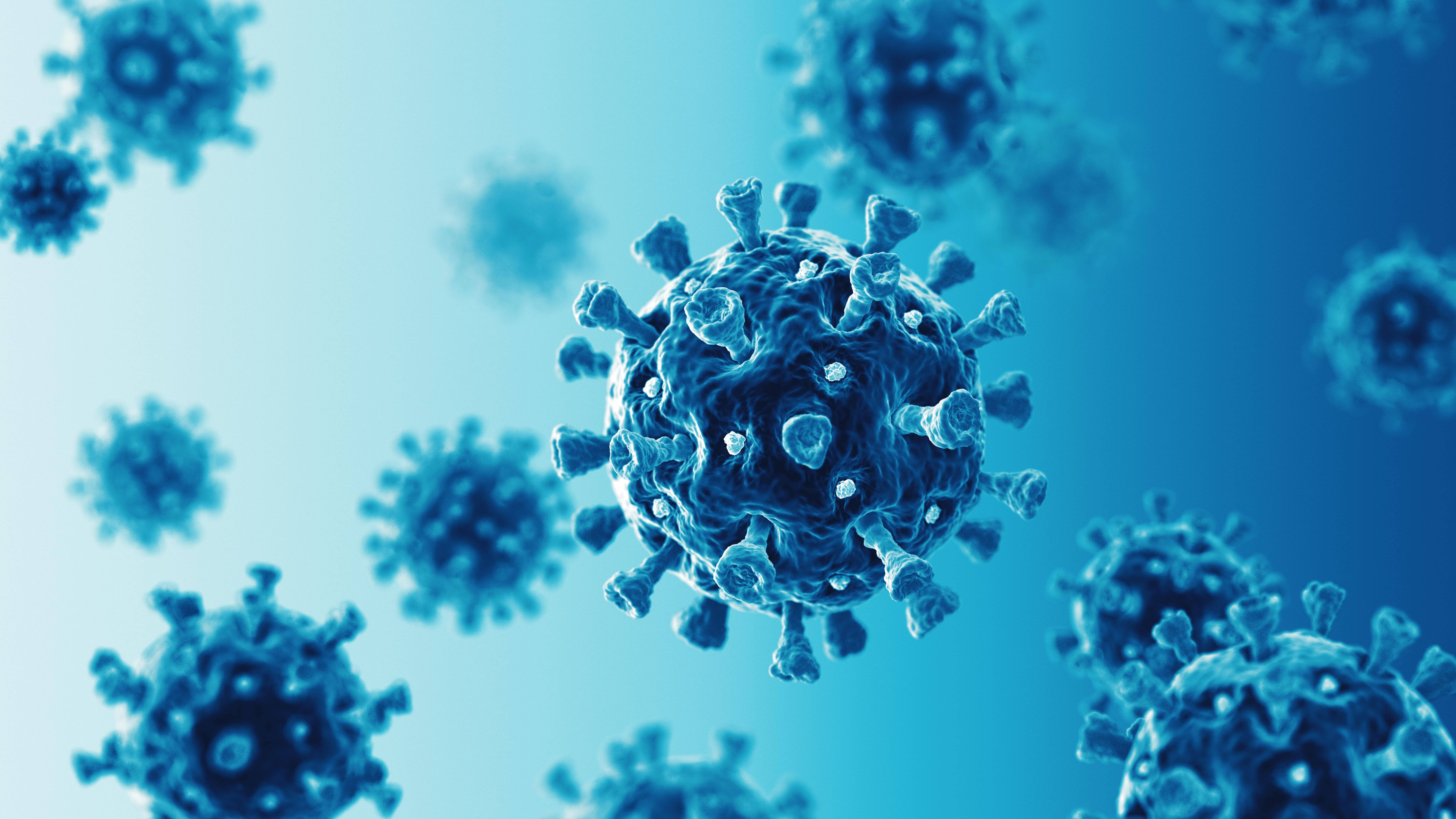 6-13-bacteria-viruses-body2.jpg