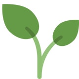 AUCHAN BIO : Sirop d'agave bio - chronodrive