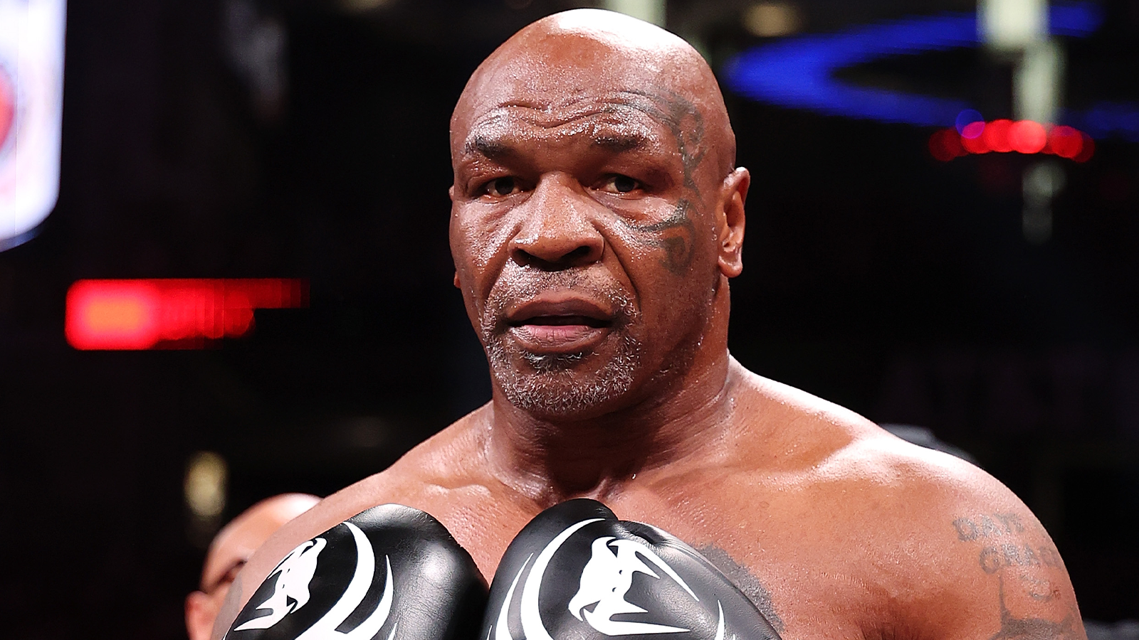 Mike Tyson Net Worth: Shocking Wealth and Earnings Revealed