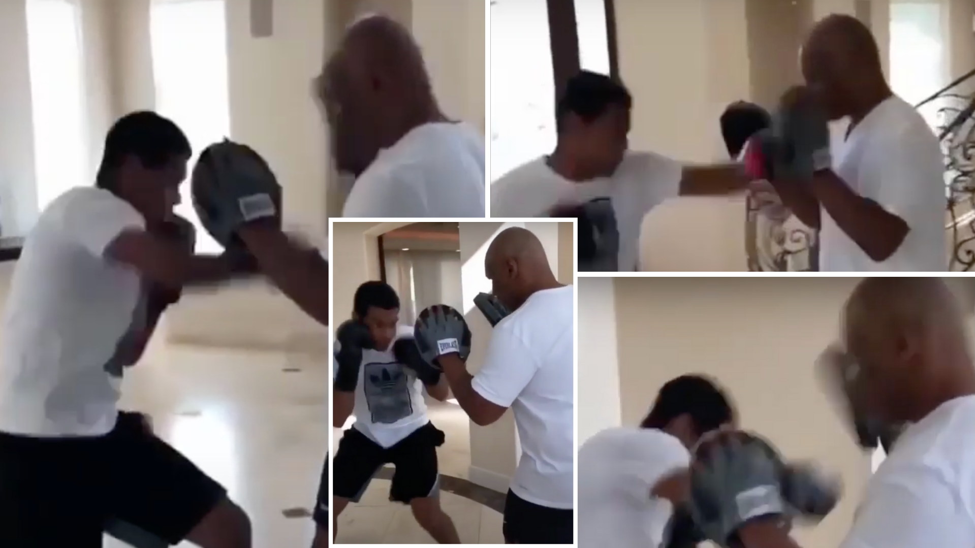 mike tyson son boxing