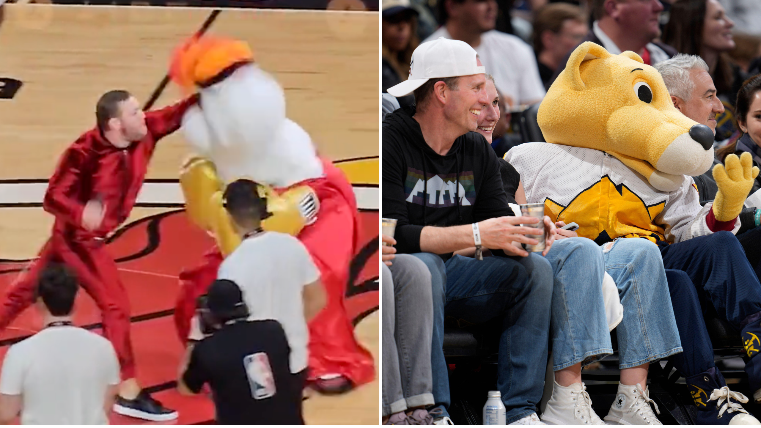 Denver Nuggets' Rocky Revealed as Highest-Paid NBA Mascot