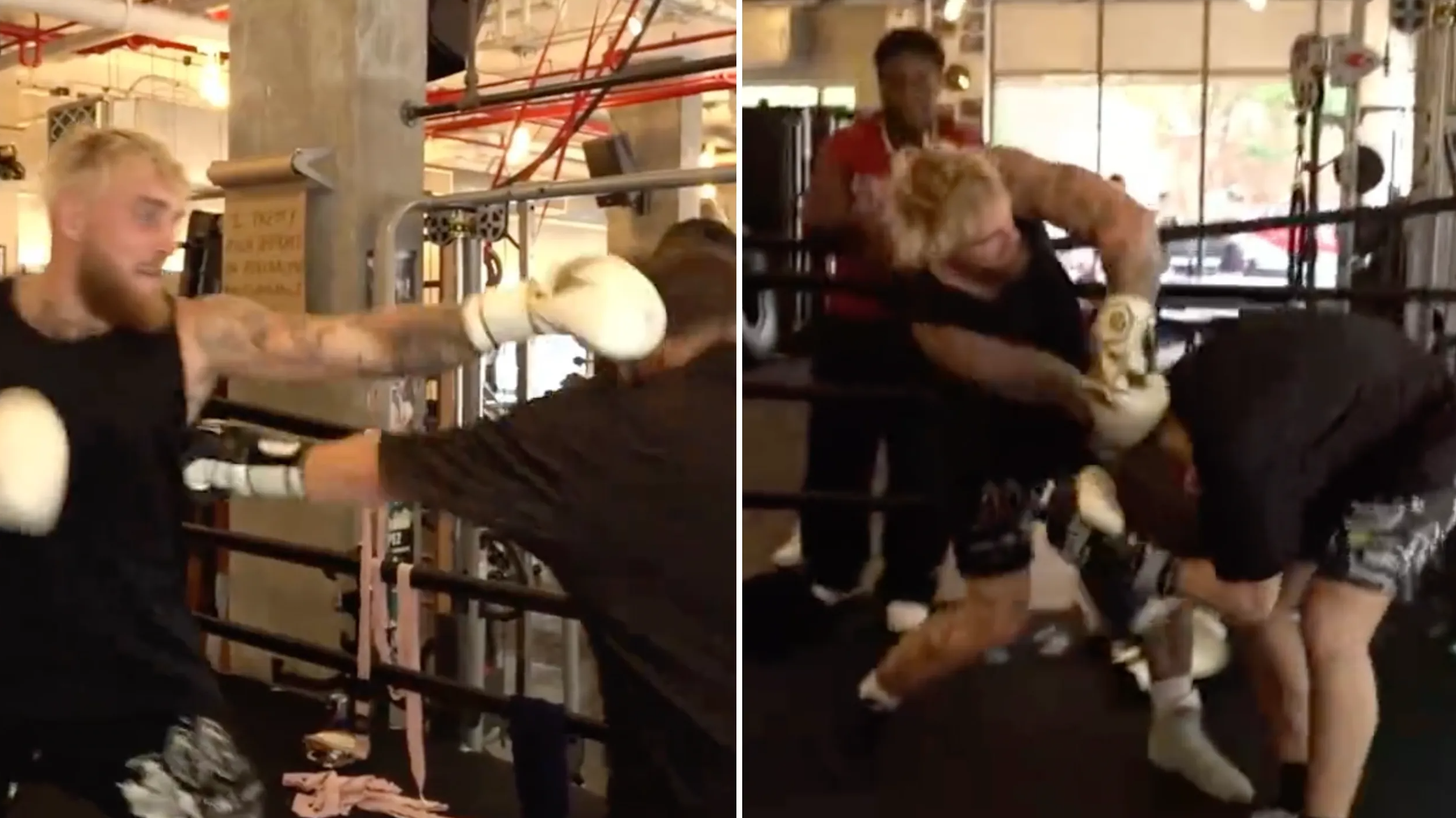 Controversial Twitch streamer turns up at Jake Pauls gym and gets knocked out