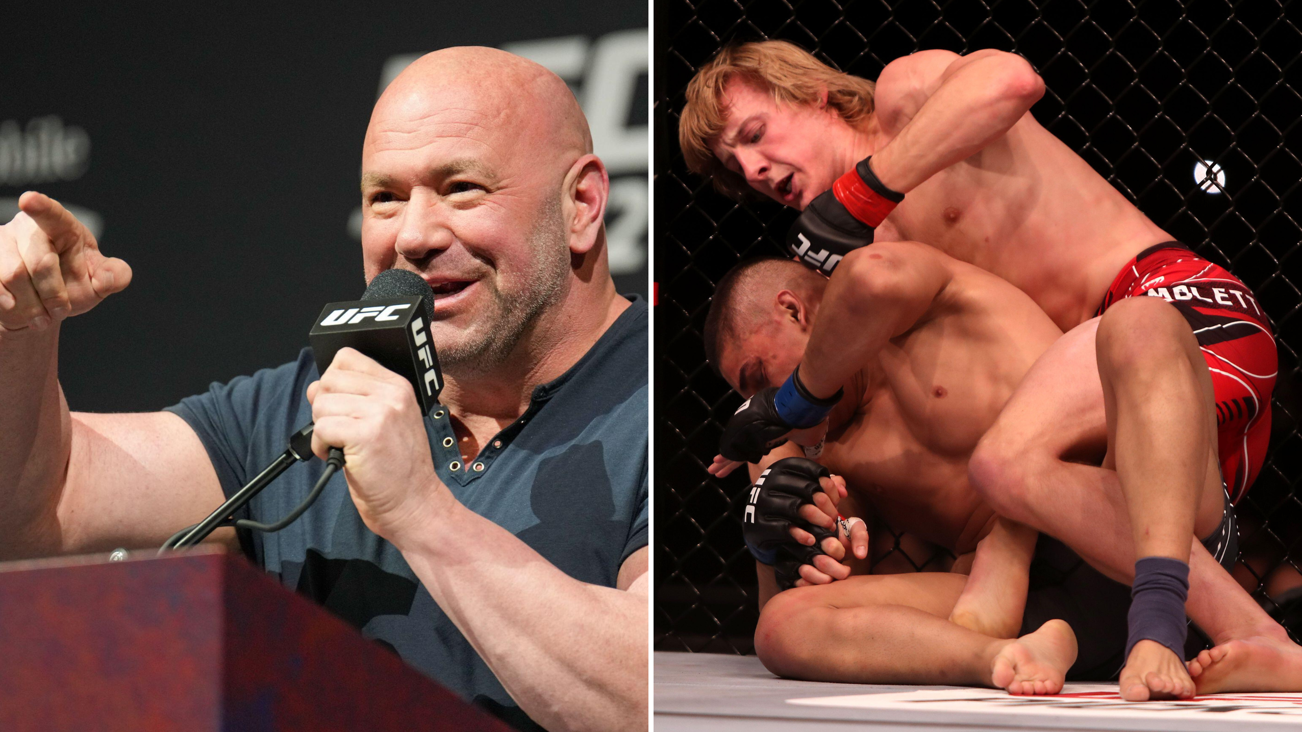 Dana White says UFC fans who illegally stream fights have been f**king smashed