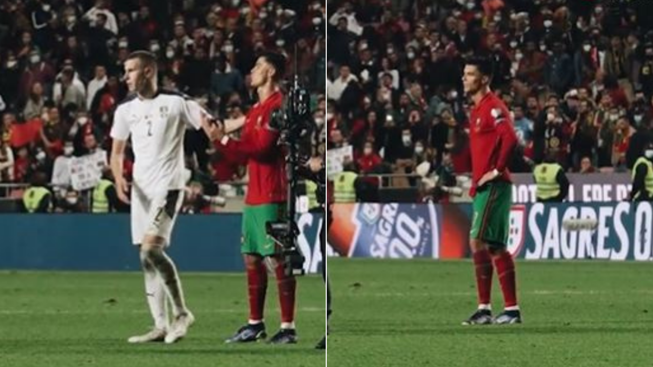 Portugal's Fernando Santos 'Really Didn't Like' Cristiano