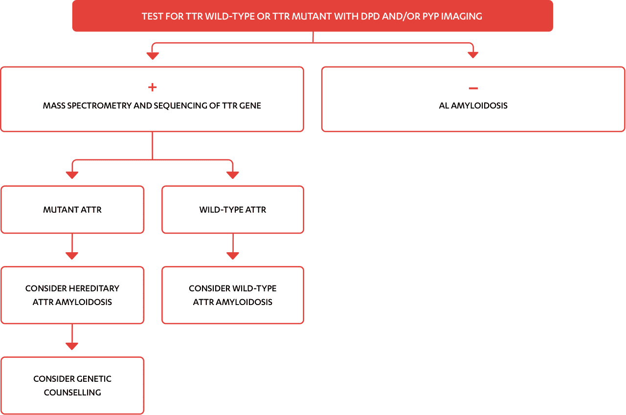 ig-potential-factors-for-al-amyloidosis ig-potential-factors-for-al-amyloidosis