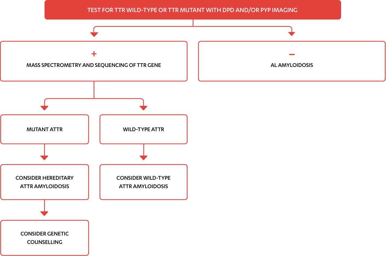 ig-test-for-TTR-wild-type-or-TTR-mutant ig-test-for-TTR-wild-type-or-TTR-mutant