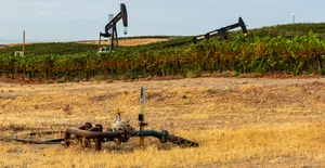 wfp-todd-fitchette-kern-county-agriculture-66.JPG wfp-todd-fitchette-kern-county-agriculture-66.JPG