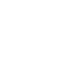 icon-naira-coin.png