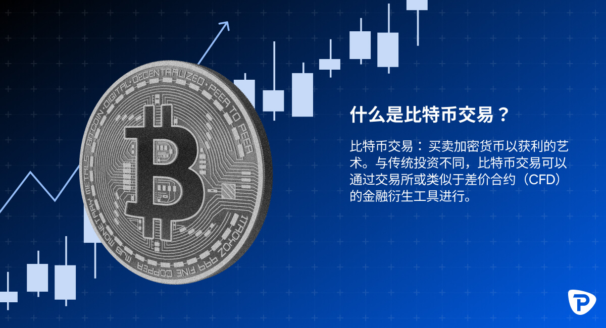 BitcoinTrading_ZHS_241112_01_1200x650.jpg