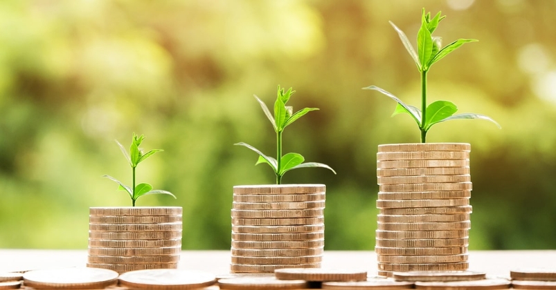 The Growing Interest in Sustainable Investment