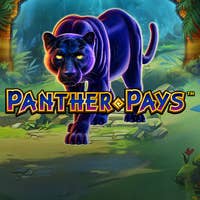 Panther Pays