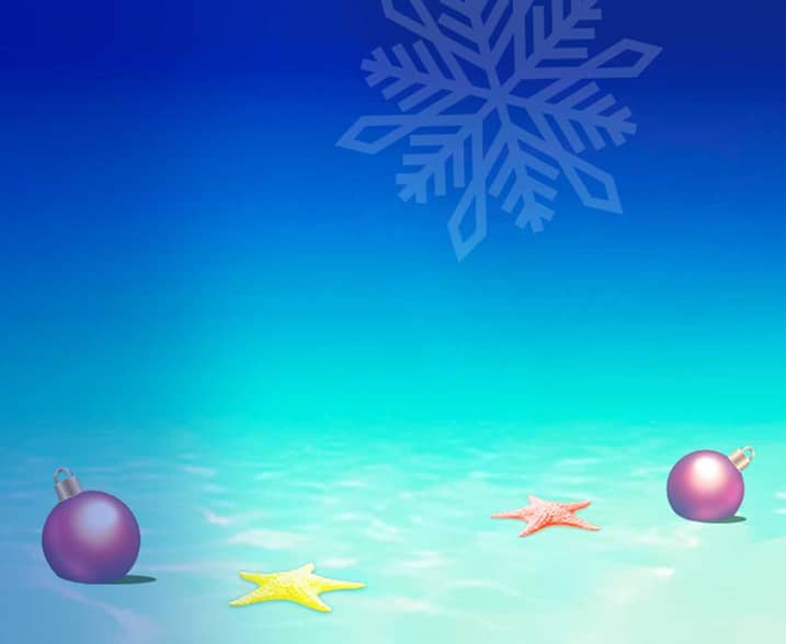 Big Santa Fortune