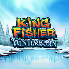 98768-KingfisherWinterborn-LO-GTs_PA001-1000x1000.JPG