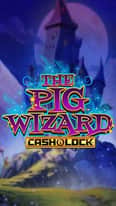 EC-15177_WH_The-Pig-Wizard-Cash-Lock_functional-lo_222x395px.jpg