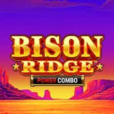 EC-16574_WH_Bison-Ridge-Power-Combo_functional-lo_222x222px.jpg