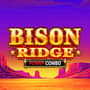 EC-16574_WH_Bison-Ridge-Power-Combo_functional-lo_222x222px.jpg