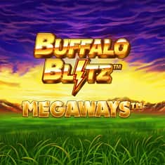 83359-BuffaloBlitzMW-GTs_MT001-1000x1000.JPG