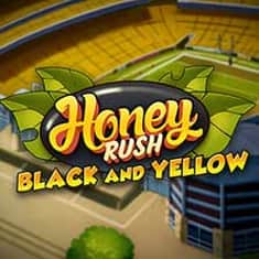 EC-13872_WH_Honey-Rush-Black-&-Yellow_functional-lo_222x222px.jpg
