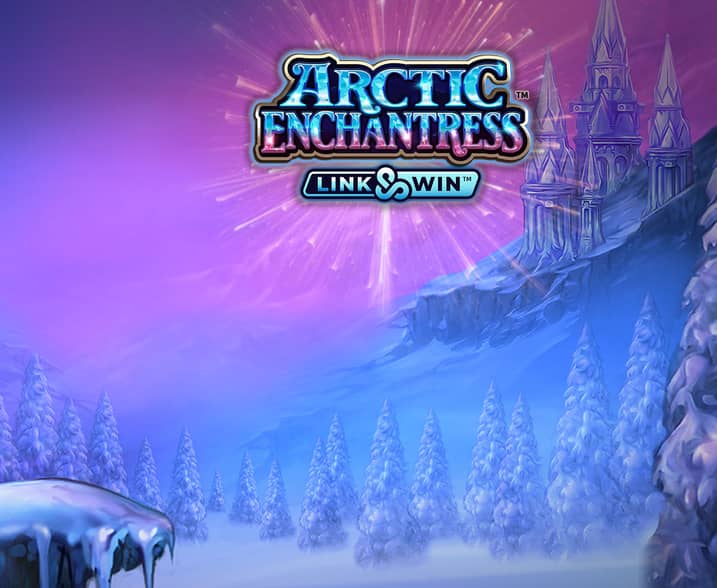 Arctic Enchantress