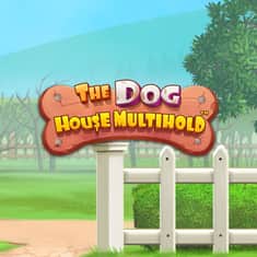 83121-The-Dog-House-Multihold-GTs_AA001-1000x1000.JPG