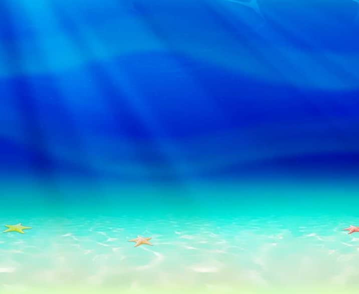 Lucky Fish Finder