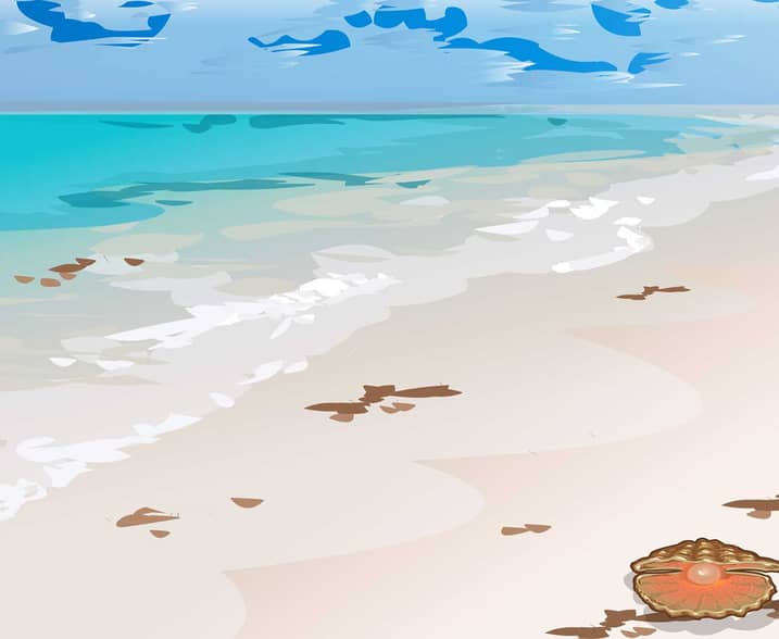 Beachside Bonanza Scratch Card